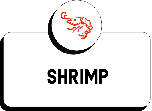 R-Pair-shrimp
